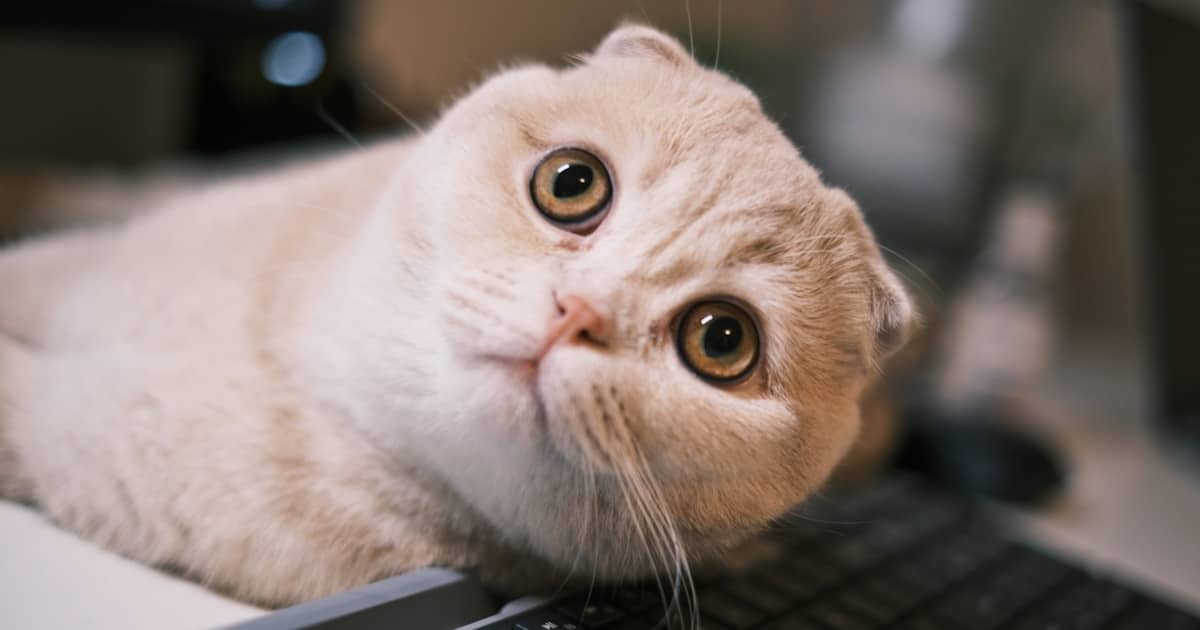 bilgisayar neden yavaslar