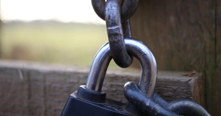 dijital cuzdan guvenligi