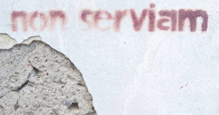 yazim yanlislarini duzenleyen eklentiler