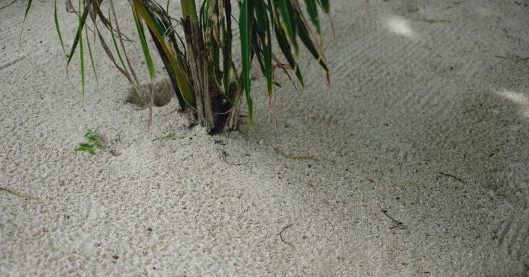 telefon pirince yatirmak hata