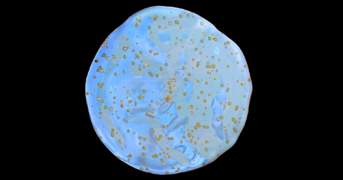 sahte mavi tik formlari