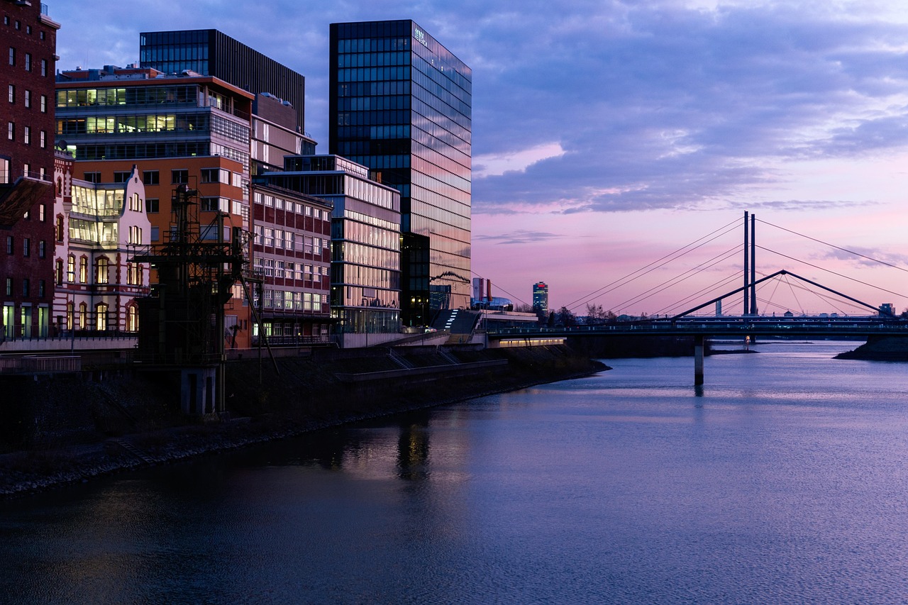 canva animasyonlu sosyal medya