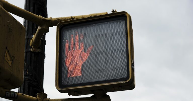 signal whatsapp şeffaf fark