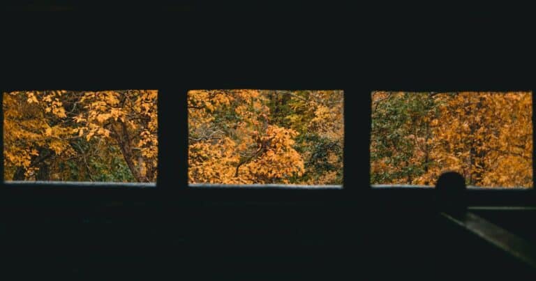 windows ekran bolme snap layouts