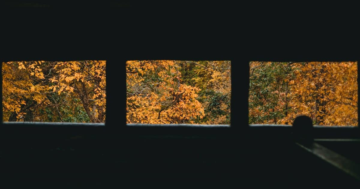 windows ekran bolme snap layouts